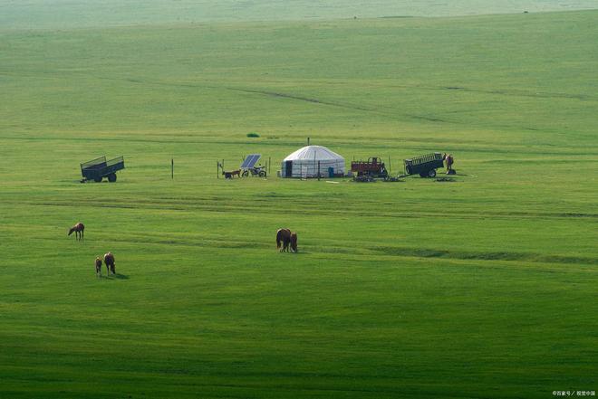 非鸟视频 合法的非鸟视频工具或社区