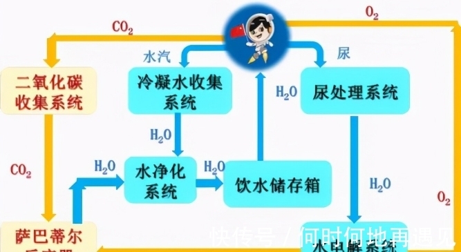 火影忍者天天 火影我可以再为你详细解说