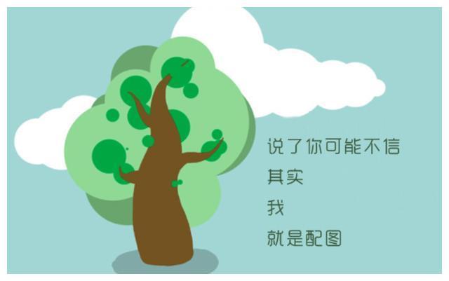 深夜在线播放 线播电影和自制内容