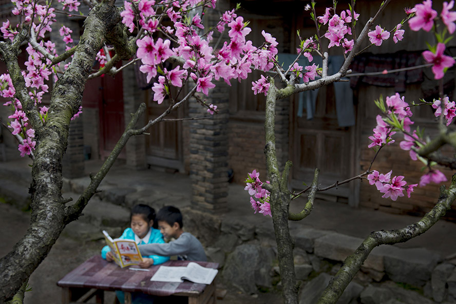 美国影片 美国影片不断推陈出新