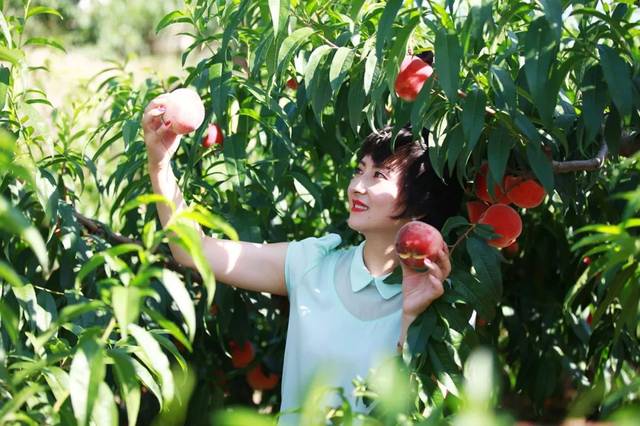 火影忍者同人漫画视频 火影其他忍村的同人影)