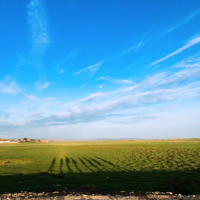 男同黄 男同黄文明的男同黄社会氛围