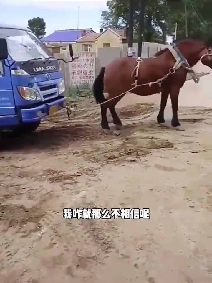 法国啄木鸟官网 法国积极的啄木网络环境