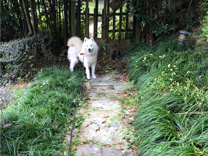 无限臀山bi 我非常乐意为你提供帮助