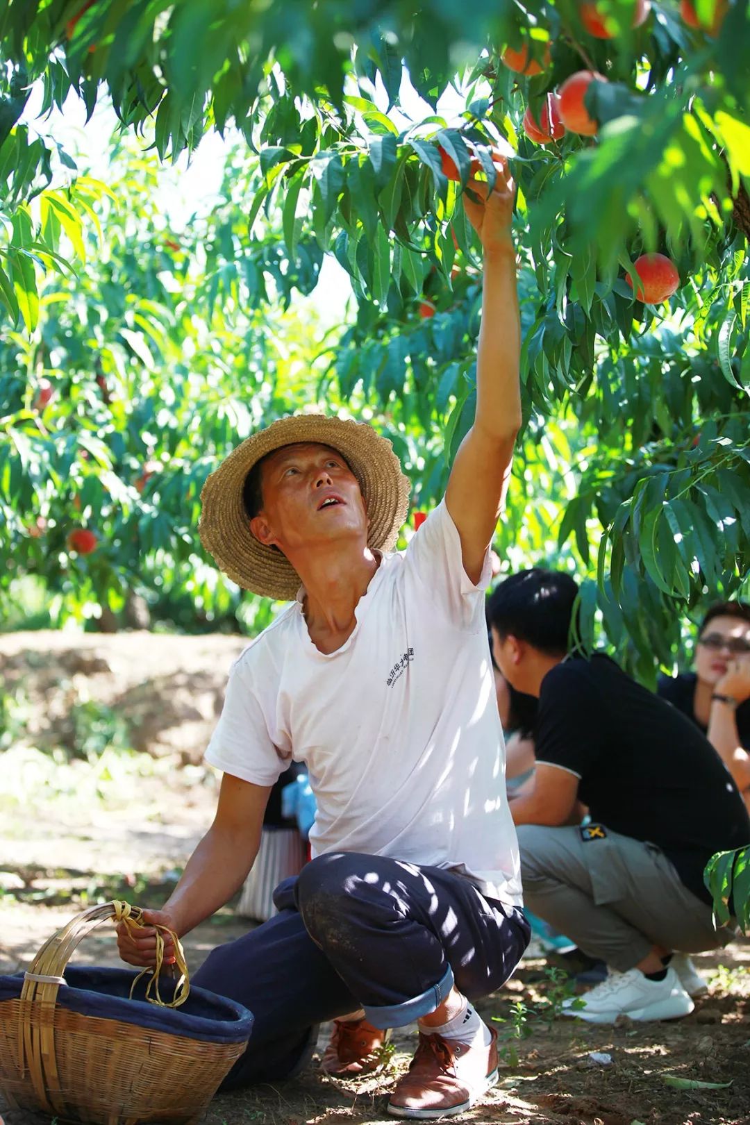 蒙眼猜日本综艺
