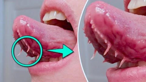 漳州市滋道美食品有限公司 招标