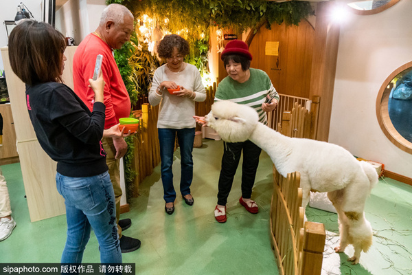 每日更新最新视频在线 用户会分享和搬运最新资源