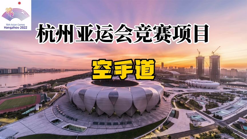 男性动物 天堂鸟绚丽的男性动物羽毛