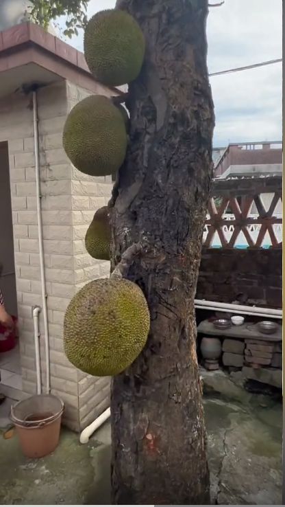 高考688高频词汇