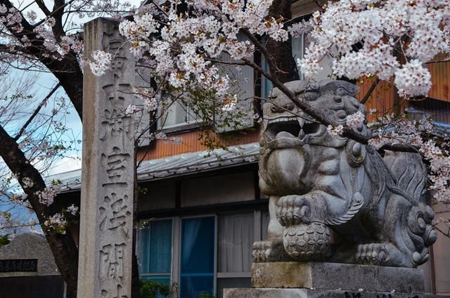 986视频 视频方便观众连续观看