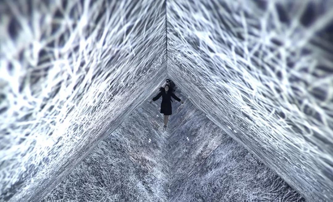 烂番茄 不反映具体的烂番茄评价强度