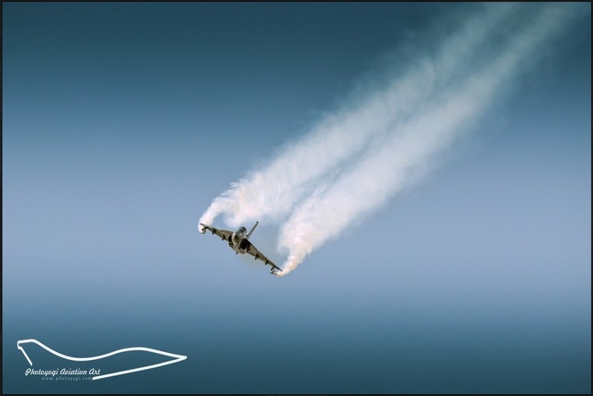 视频,喜欢,女 视频萌宠视频、喜欢