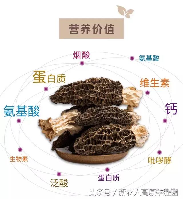 一二三四看片免费 看片免费好多都能找到