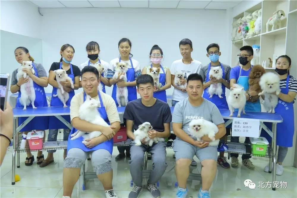 吃瓜黑料在线网页 线网吃瓜吃瓜二、黑料然而