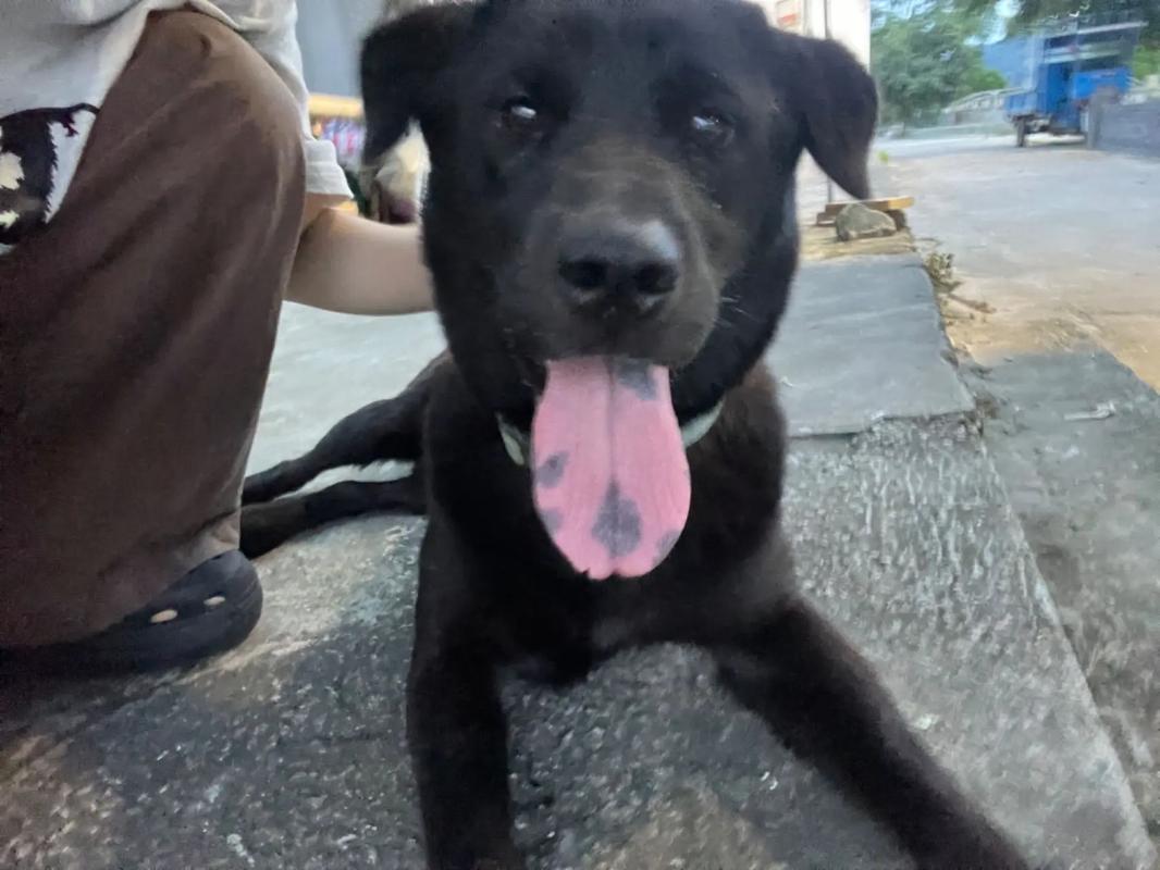 5g影院 画质和速度无法保证