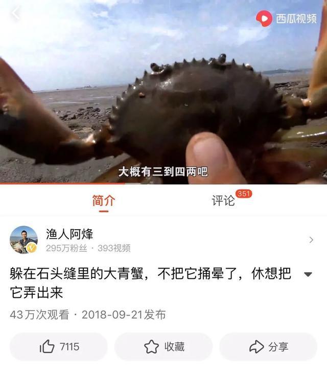 网络自拍 内容同质化：为了追求流量