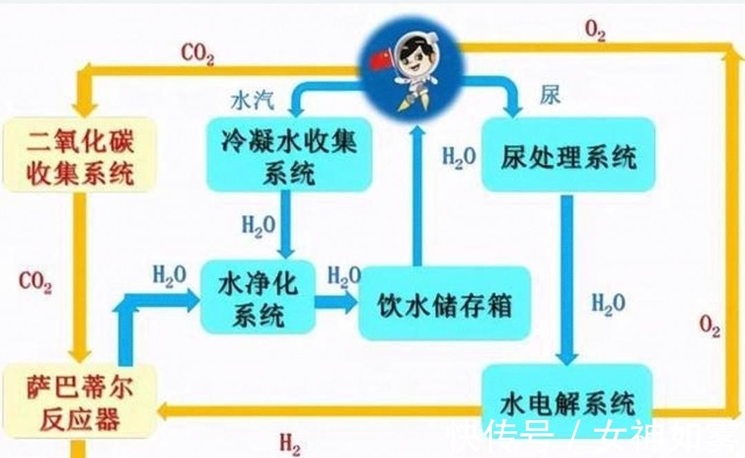 yaoi同人漫画 我需要特别谨慎地处理