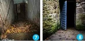 国产精品乱人伦AV网站