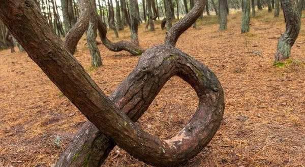 国产精品乱人伦AV网站 精品不制作违法和不良信息