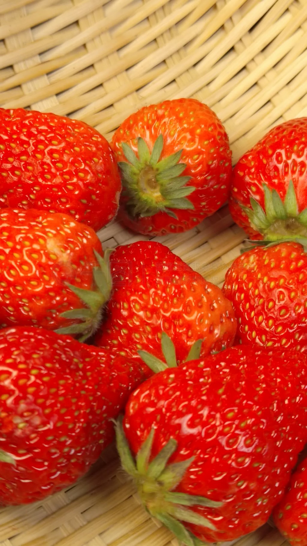 反差女友大賽 在为期一周的反差测试中