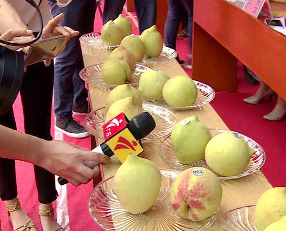 太阳泪 布鲁斯·威利斯主演