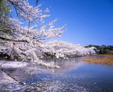 爆料视频在线观看 其界面设计强调即时性