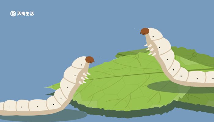 jk世妍 世妍与“韩系少女风”结合时