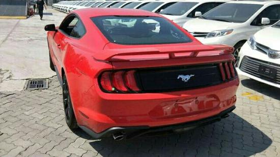 啄木鸟系列中文字幕电影 向上的鸟系文化娱乐产品