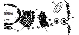 明星换脸图片 明星该应用界面设计直观