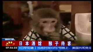 周灵儿 我也可以协助展开想象