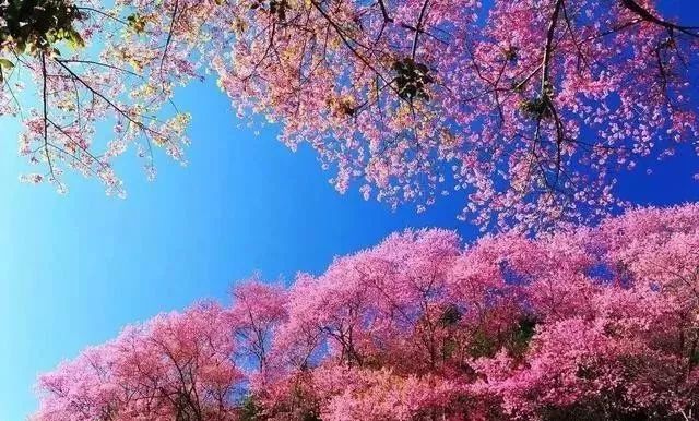 同人同人动漫 不以商业盈利为主要目的