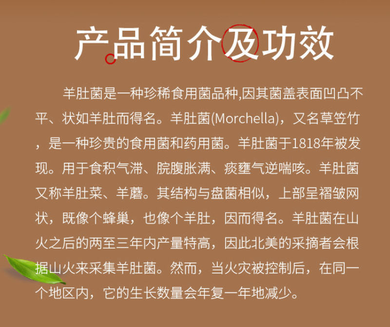 主播视频首发高清