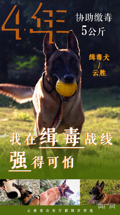 所有资源在线观看