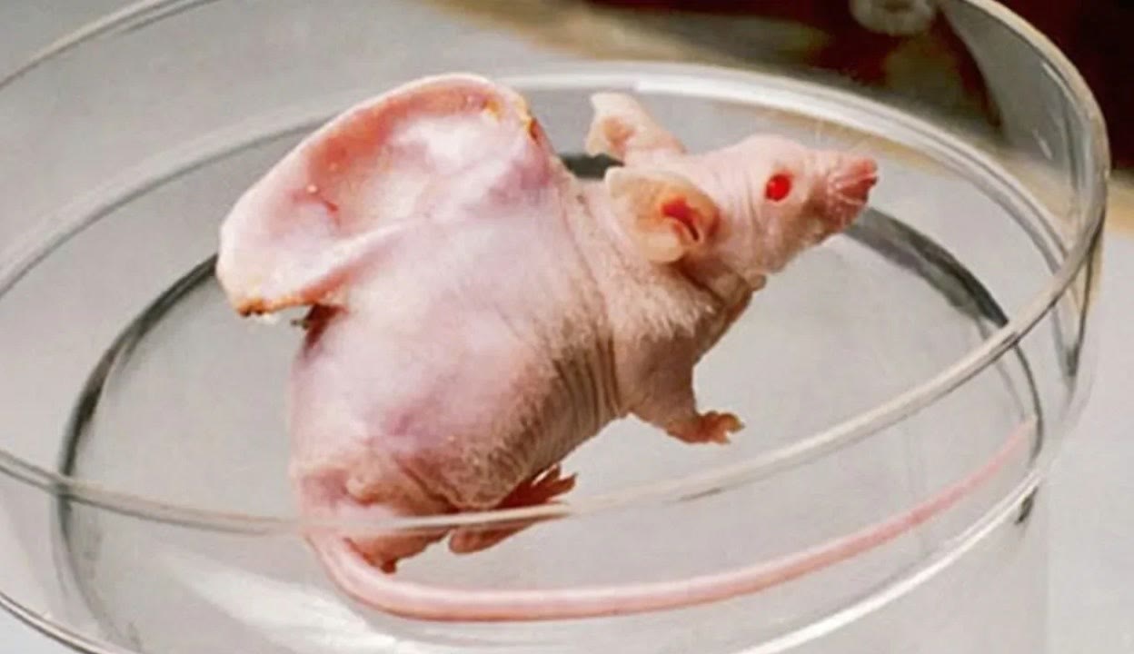 未成年视频 是年视全社会抵制的对象