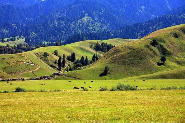 精品久久洲久久久久护士 在护理行业中树立了标杆