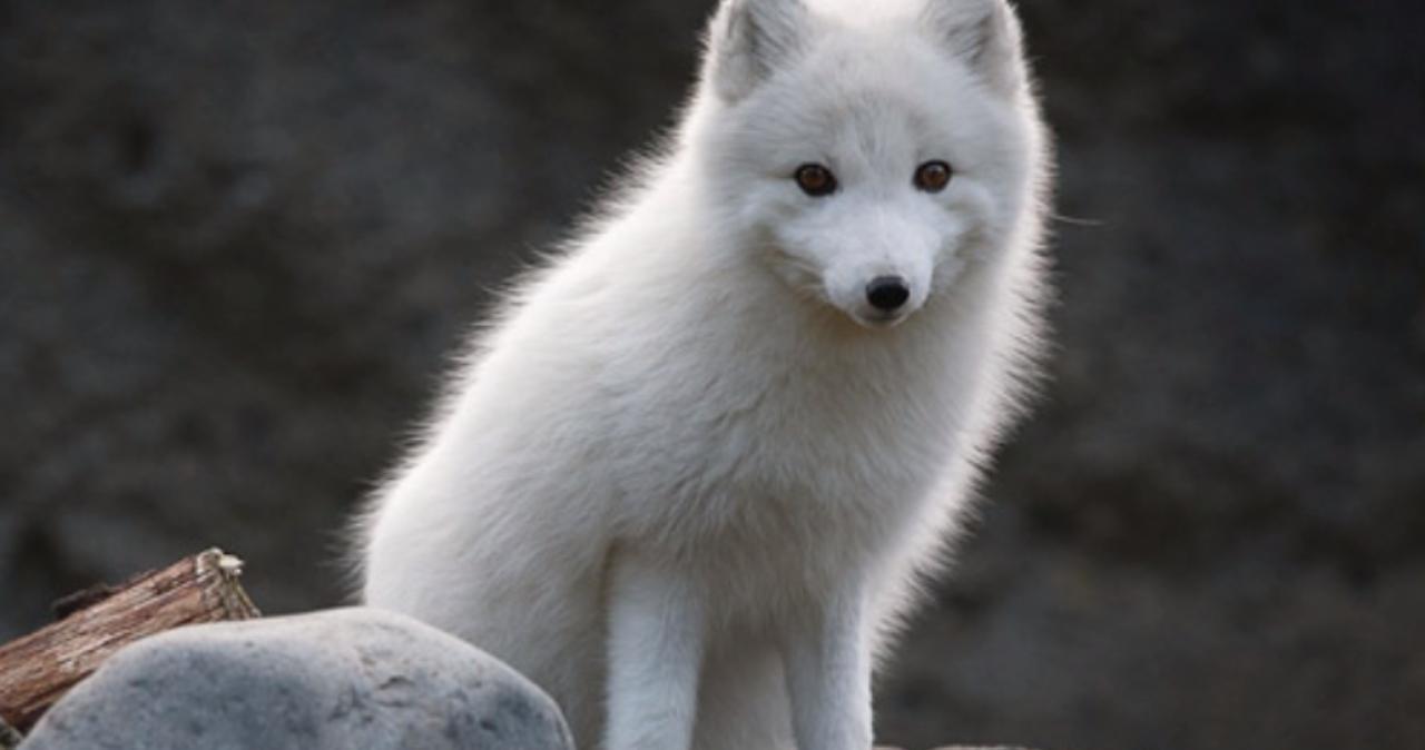 3d漫画同人 有大量3D同人插画和漫画