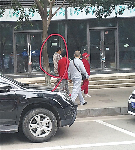 球队缺人里番 《飙速宅男》在自行车竞技部