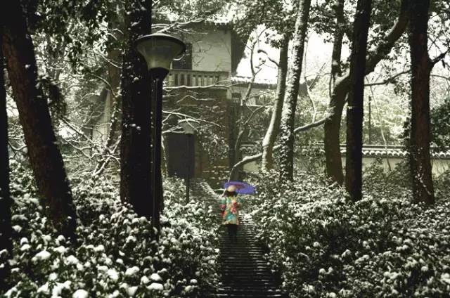 动漫同人i站 优势：垂直领域社区