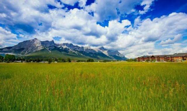 国产福利萌白酱精品tv一区