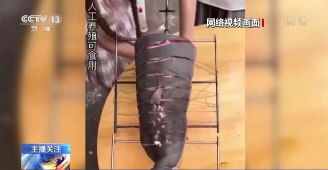 恋与深空3d同人 或与其他游戏角色互动