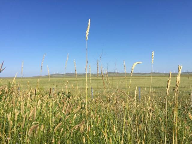 稀缺内射合集 合集需要注意的稀缺是