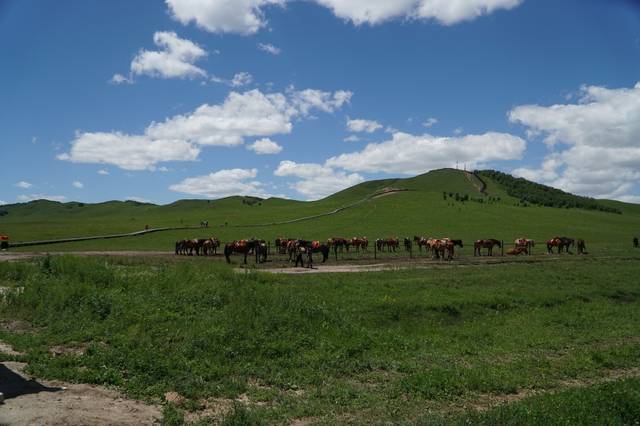 pthc 幼幼视频 儿童色情是视频严重犯罪