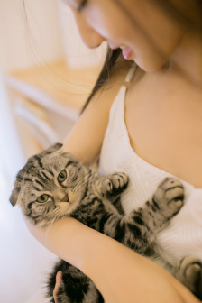 yhctk全集 为了能更好地帮助您