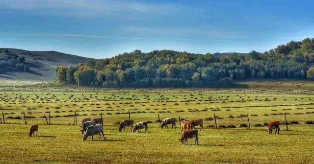 番号ll花都影视 花都如果你有其他问题