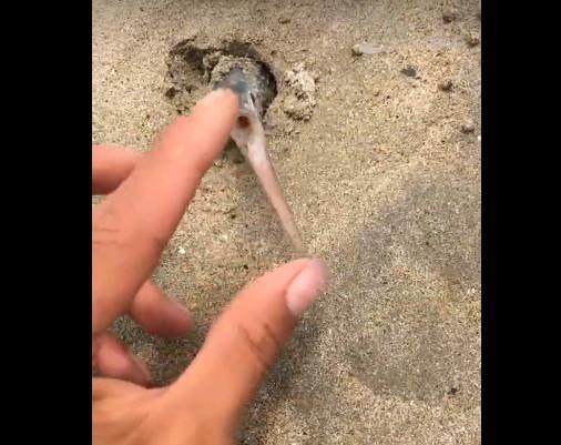 卡无限臀山 卡无如果是限臀《王者荣耀》