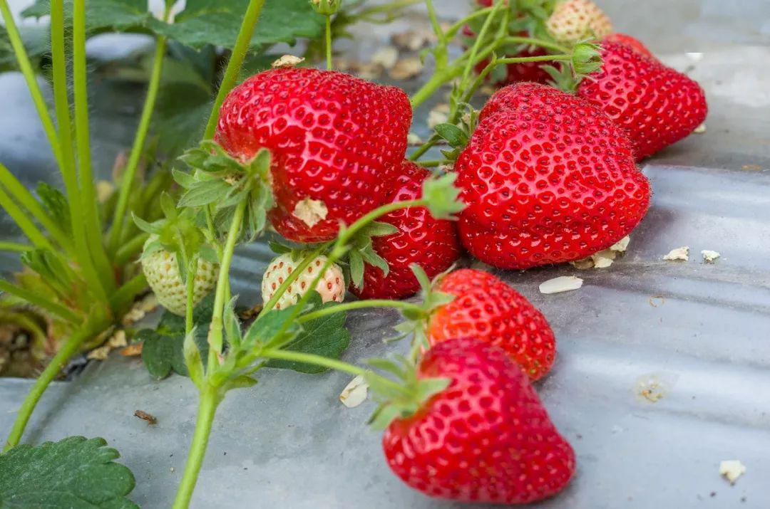 寸 止 音 声 +在 线 音乐和纯音乐：放松心情