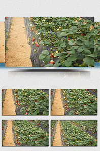 寸 止 音 声 +在 线 音乐和纯音乐：放松心情