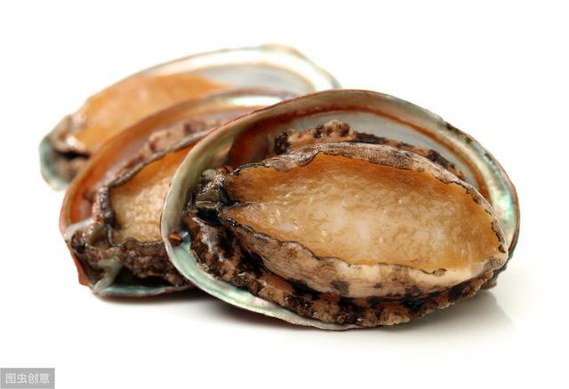 mm51视频 视频我很乐意为你提供支持