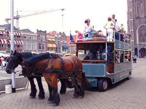 啄木鸟系列古墓丽影 请补充说明上下文或具体需求