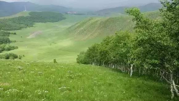 99精品无码一区二区三区